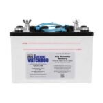 Basement Watchdog 30HDC140S Battery - Image 2
