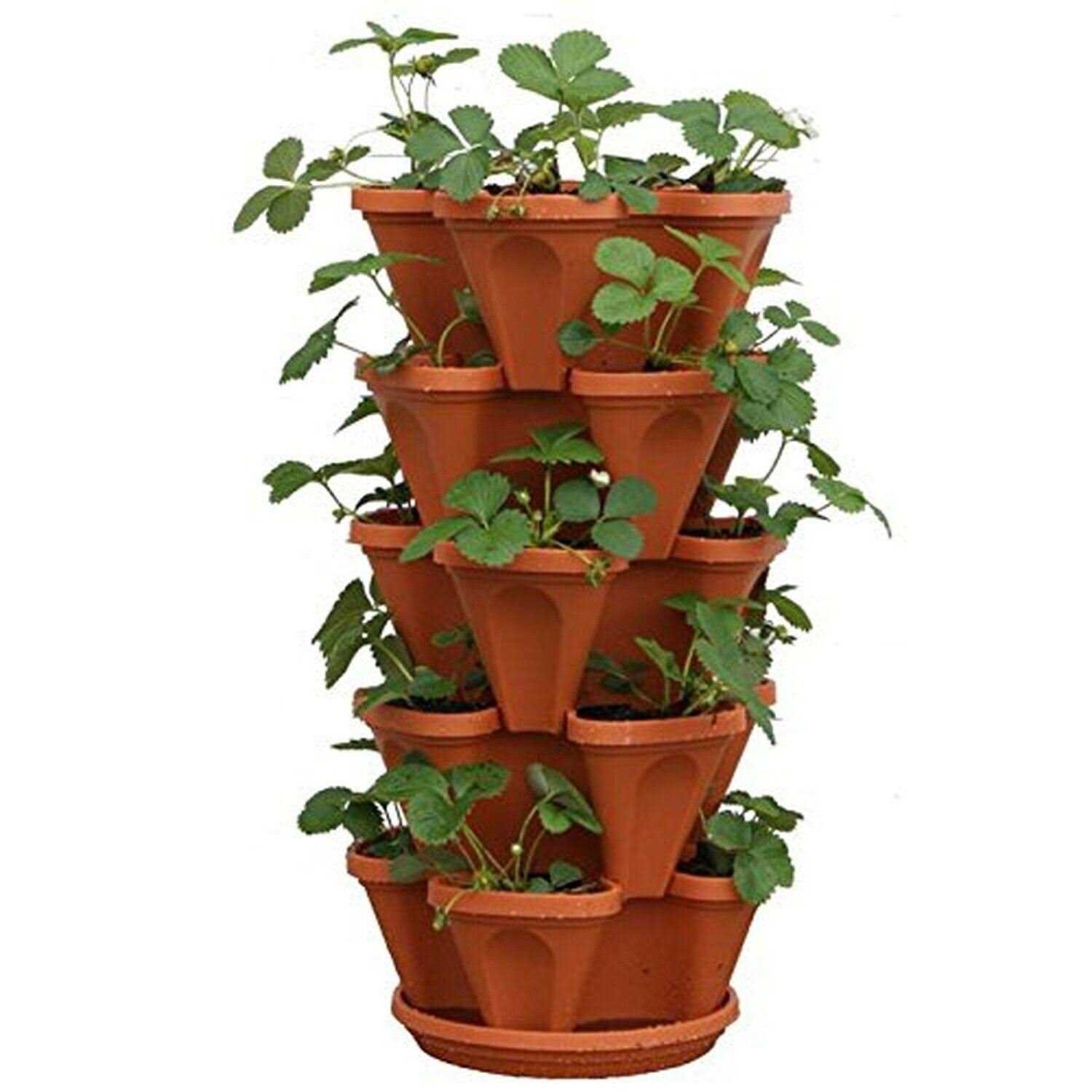 193CBDA8-A0C0-7927-BEC7-EEA975022625.jpg Mr Stacky 5 Tier Strawberry Planter - Image 1