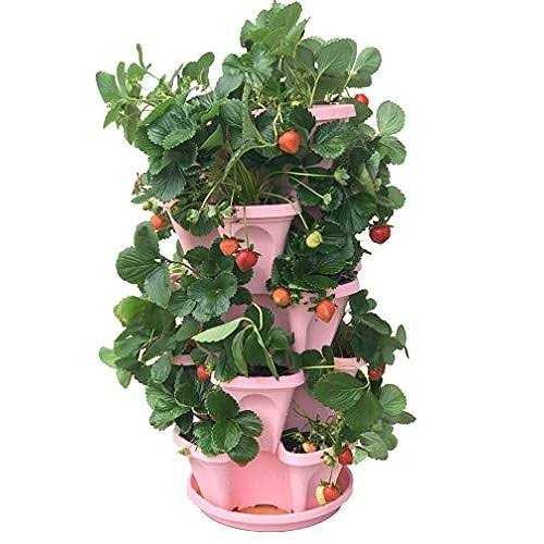 220A94C6-9D0A-B413-E33A-9056E23676F8.jpg Mr Stacky 5 Tier Strawberry Planter - Image 1