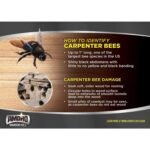 Amdro Quick Kill Carpenter Bee Killer 100526850 - Image 2