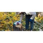 Tordon Herbicide RTU - Image 2