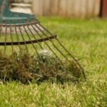 Lilly Miller Moss Out Granules - Image 5