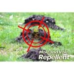 Natural Elements Mole and Vole Repellent 100% castor Oil - Image 3