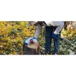 Tordon Herbicide RTU - Image 4