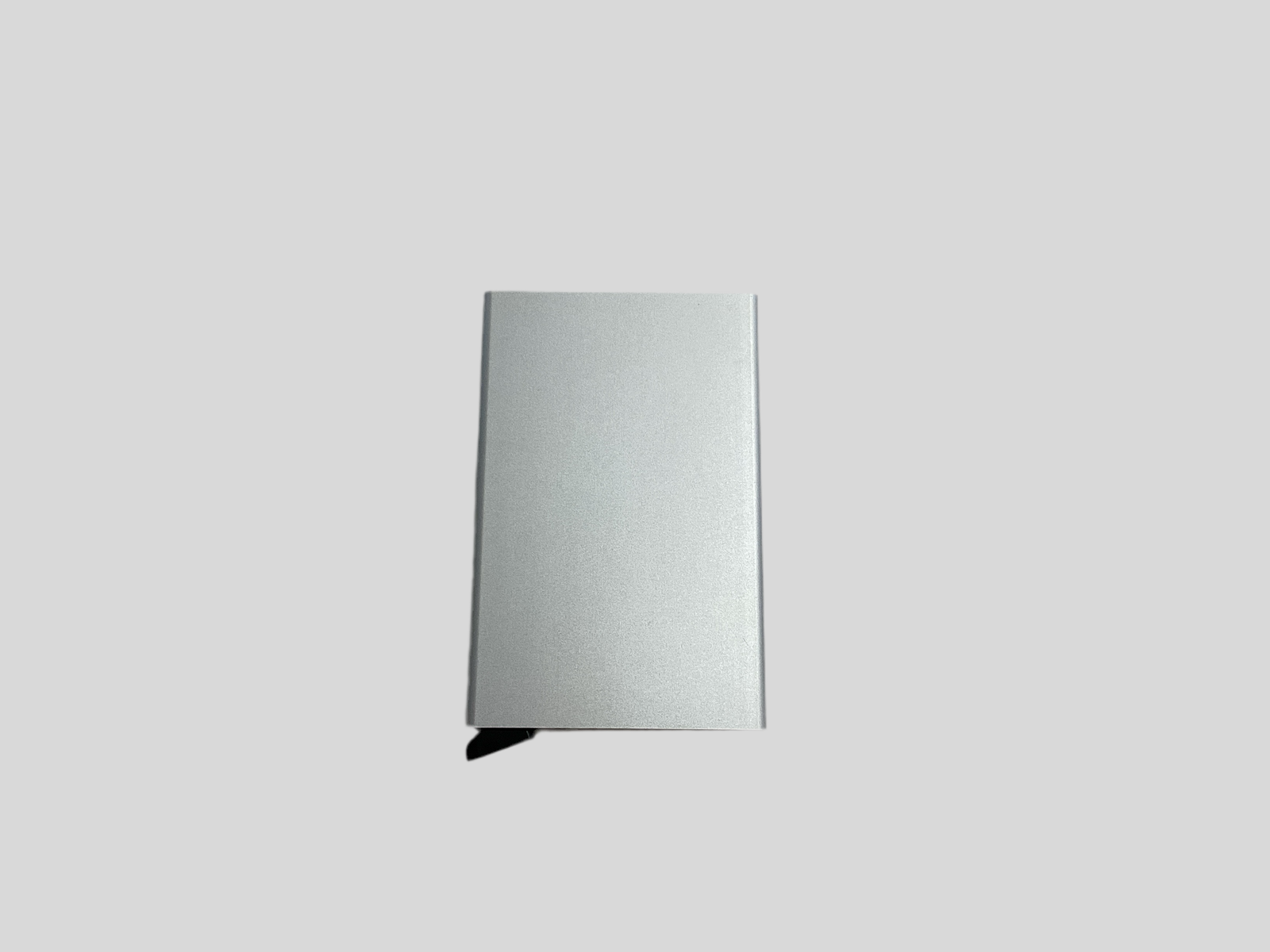 ACE78A77-369B-4329-A58A-141FB71FA85E-1 Cardprotector Silver - Image 1