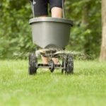 Lilly Miller Moss Out Granules - Image 3