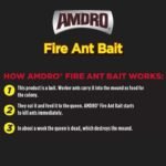 Amdro Fire Ant Bait - Image 3