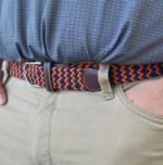 The Dothan Belt - Image 2