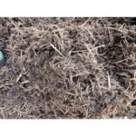 Lowe’s 2-cu ft All-natural Cedar Mulch - Image 3